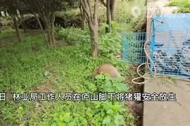 爱游戏平台 -壒閾舵渤鏍兼枟4